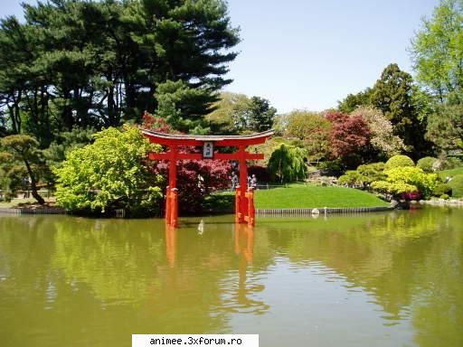 Poze - Arisa_chan - Japonia