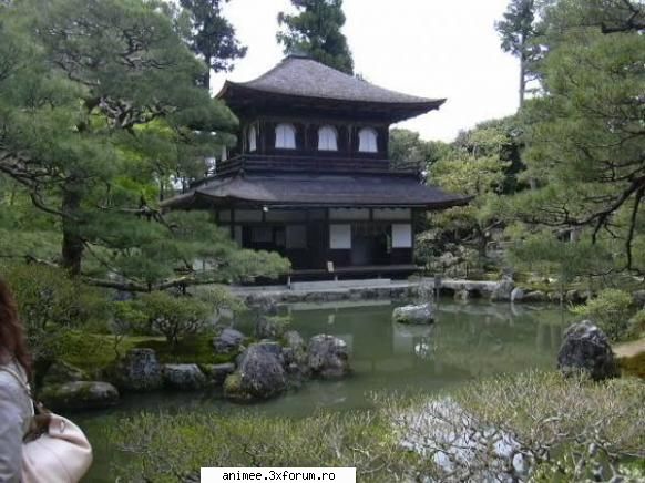 Poze - Adooooooooor Japonia - Japonia