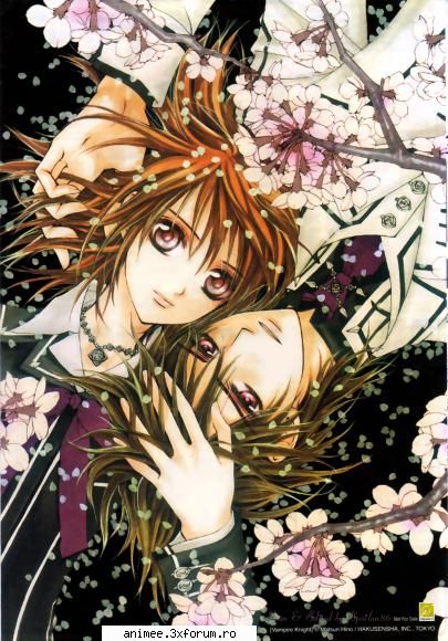 Vampire Knight - 16.from manga(Yuki-Kaname) - Other animes